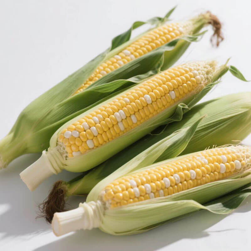 玉米水分檢測方法